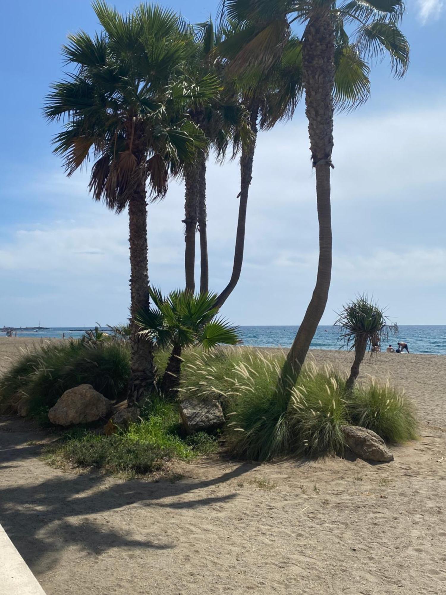Almeria Playa Zapillo Esterno foto